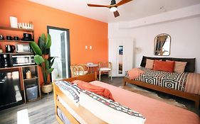 Steps To Sea Miami Beach Free Parking Pet & Family Friendly